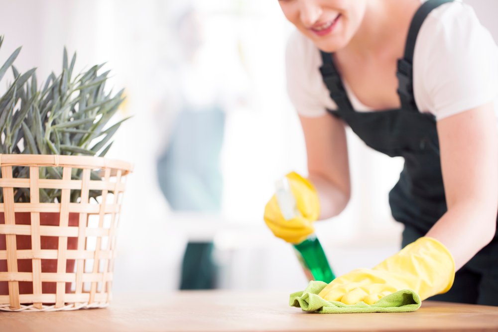 Cleaners in Tampa